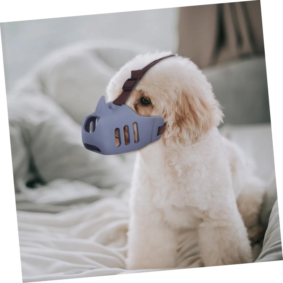 ibasenice 3piezas Bozal para Perro Pequeño Bozal Antiladridos de Silicona Antimordiscos para Cachorros Ajustable para Aseo para Mascotas Medianas