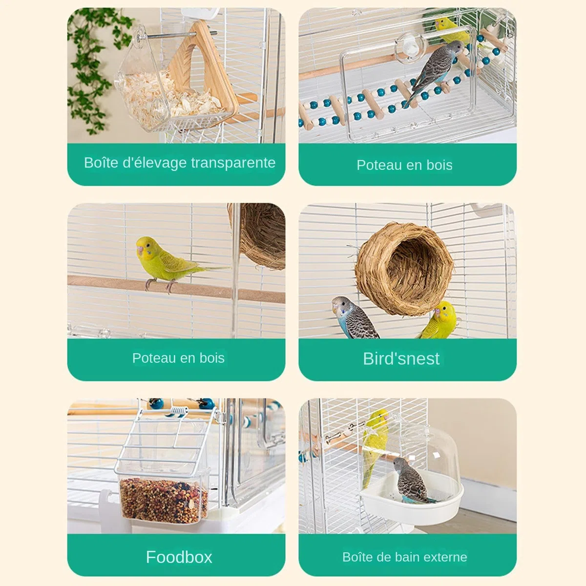 Jaulas para Pájaros y Aves de Compañía Transportín Transparente Portátil | Jaulas Para Pájaros Con Percha De Madera Para Periquitos Para Guacamayos, Conuros, Cacatúas, Pinzones Y Aga