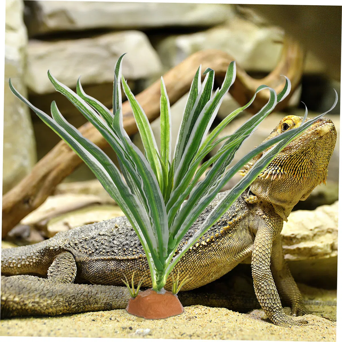 DOITOOL 6piezas Artificiales para Terrario De Reptiles Decoración Natural para Hábitats De Anfibios y De De Lifelike