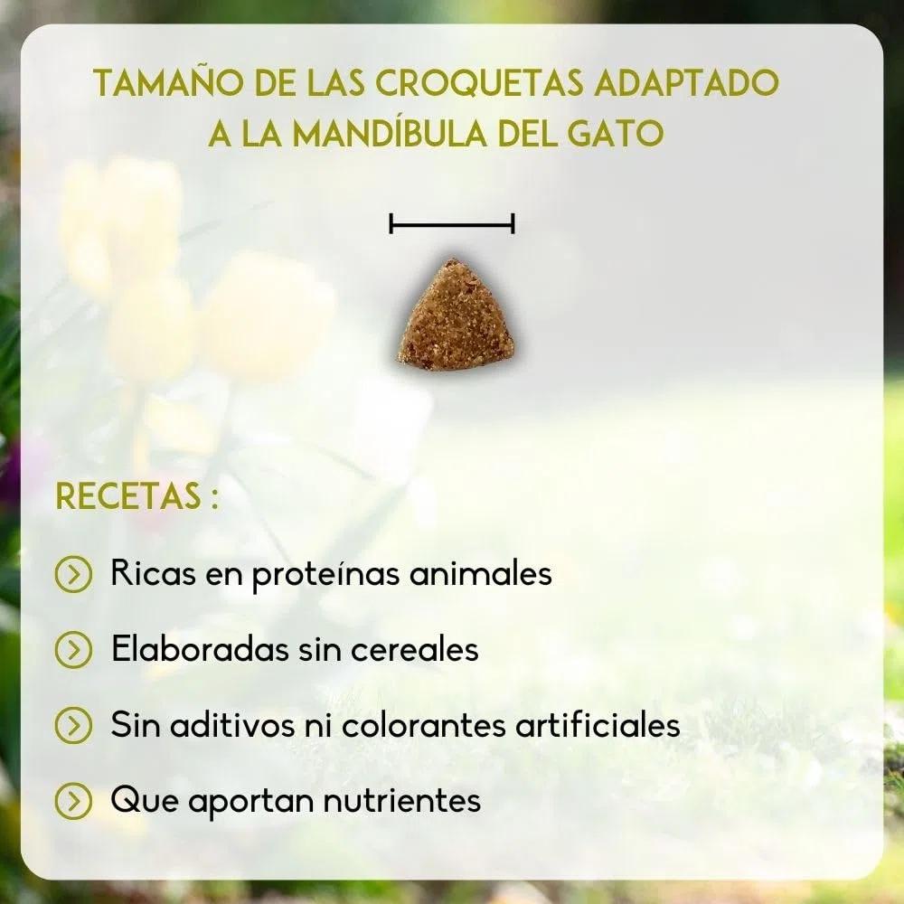 NUTRIVET - INNE Chat - Croquetas sin Cereales - Gato esterilizado o con sobrepeso - Pollo - 80% Ingredientes de Origen Animal - 6kg