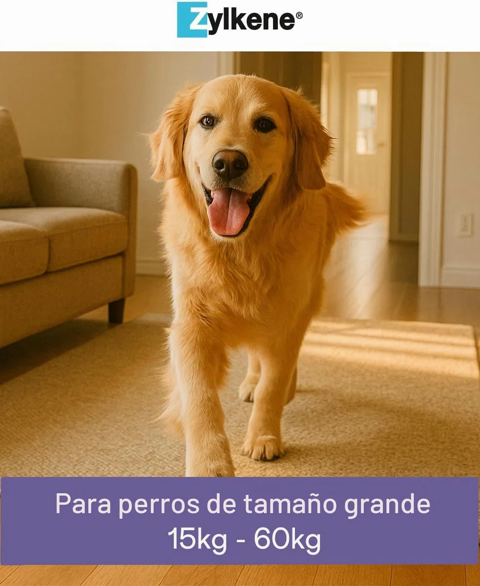 Zylkene Pienso Complementario | Perros de más de 15 kg | Relajante para situaciones incómodas | 100 Cápsulas de 450 MG