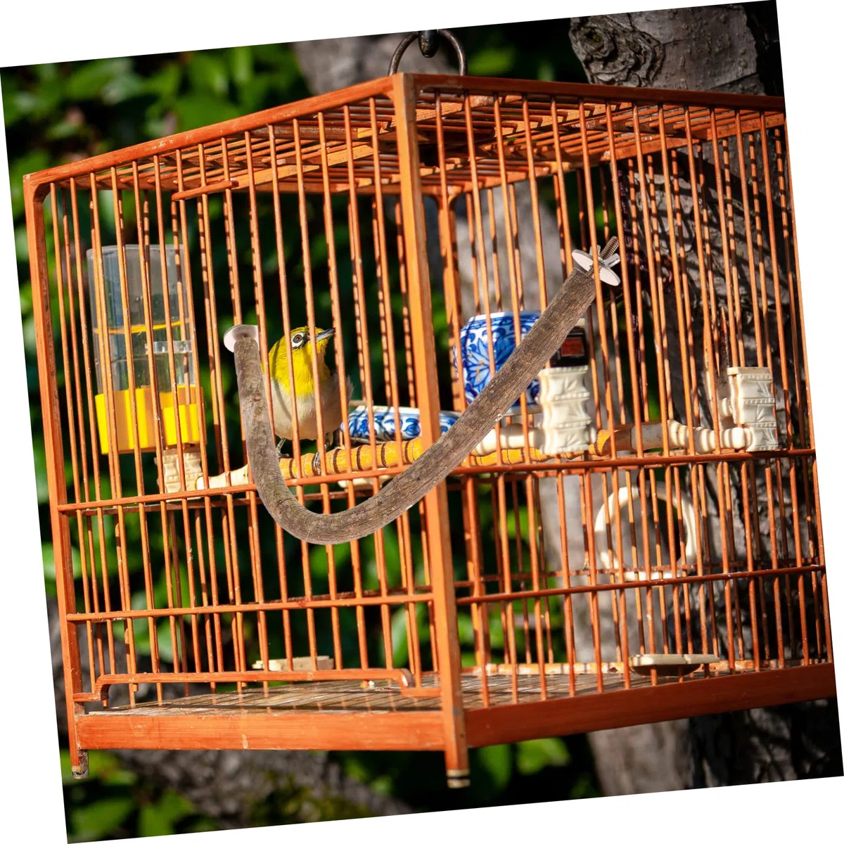 Yardwe 3piezas Percha De Madera para Aves Soporte para Entrenamiento De Juguete para Masticar y Ejercicio De Pies Accesorio Natural para Jaulas De Aves