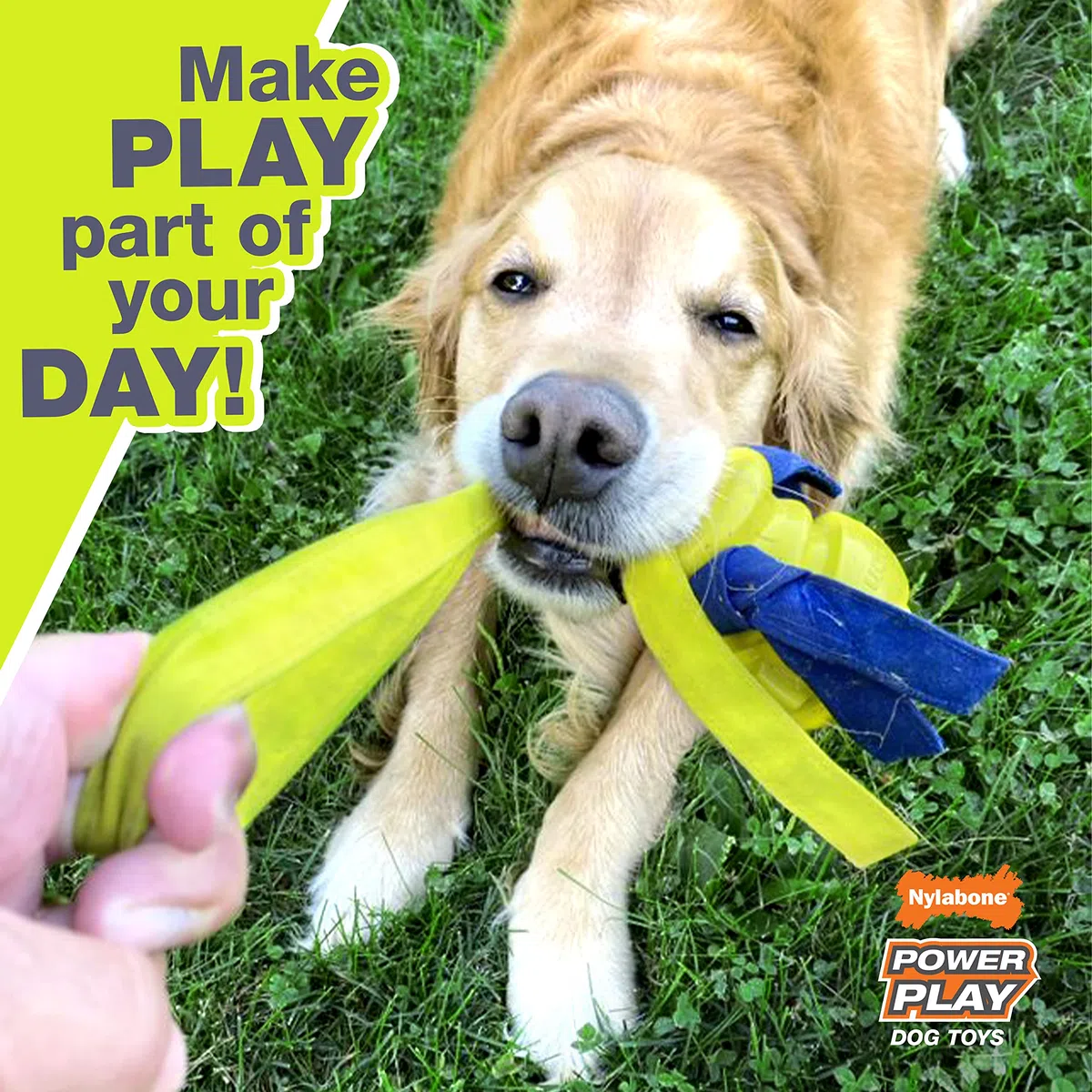 Nylabone Power Play - Pelota de tenis para perro, 3 unidades, tamaño mediano, 6,3 cm
