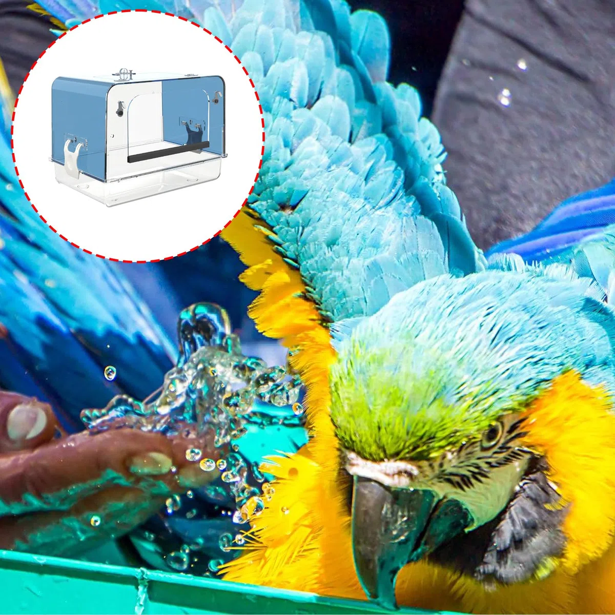 Caja de ducha para loros, bandeja de alimentación para periquitos, cacatúas, tortolitos, tina de baño interior, cuenco seguro para pájaros para cacatúas