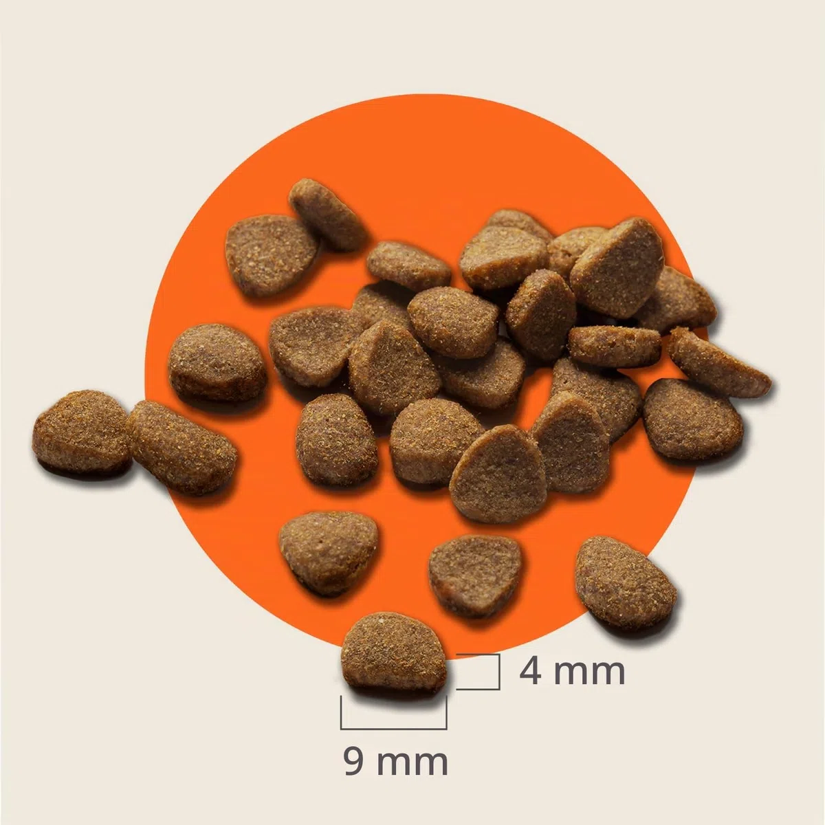 IAMS Alimento seco para Gatos con Pollo Fresco - Alimento seco para Gatos a Partir de 11 años, 10 kg