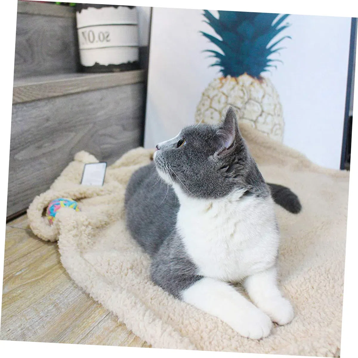 HEMOTON Manta para Gatos De Felpa Extra Alfombra para Mascotas Cómoda Cojín para Dormir para Dormitorio De Gato