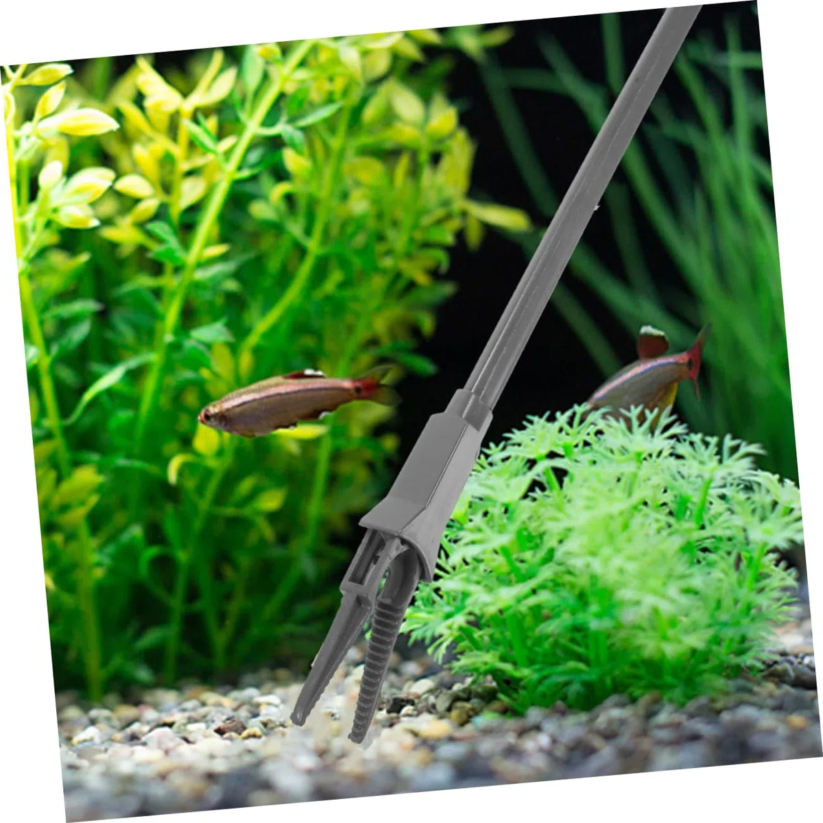 BESPORTBLE 8piezas Tweezer para De Acuáticas Clip De De Limpieza De Peceras Accesorios De
