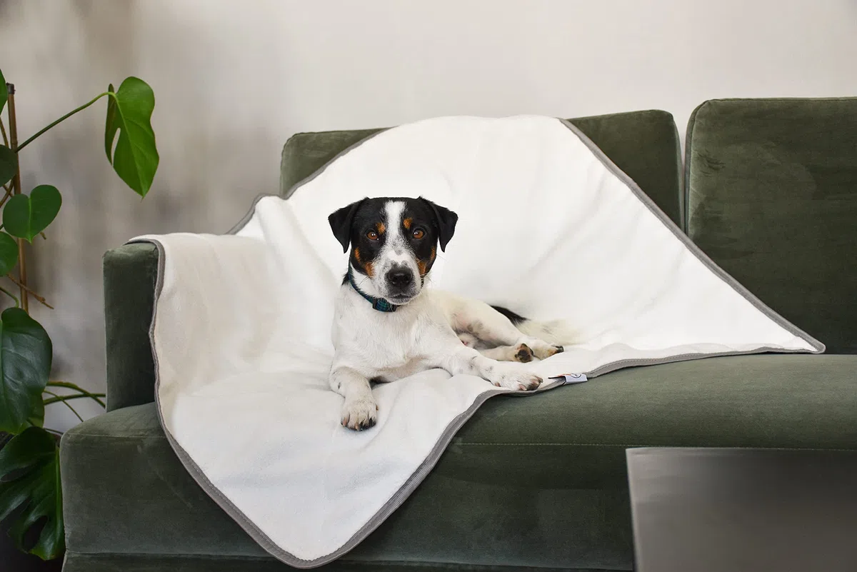 Sleepy Fox Snuggle - Manta para gatos y perros con forro polar Sherpa (60 x 80 cm), color gris