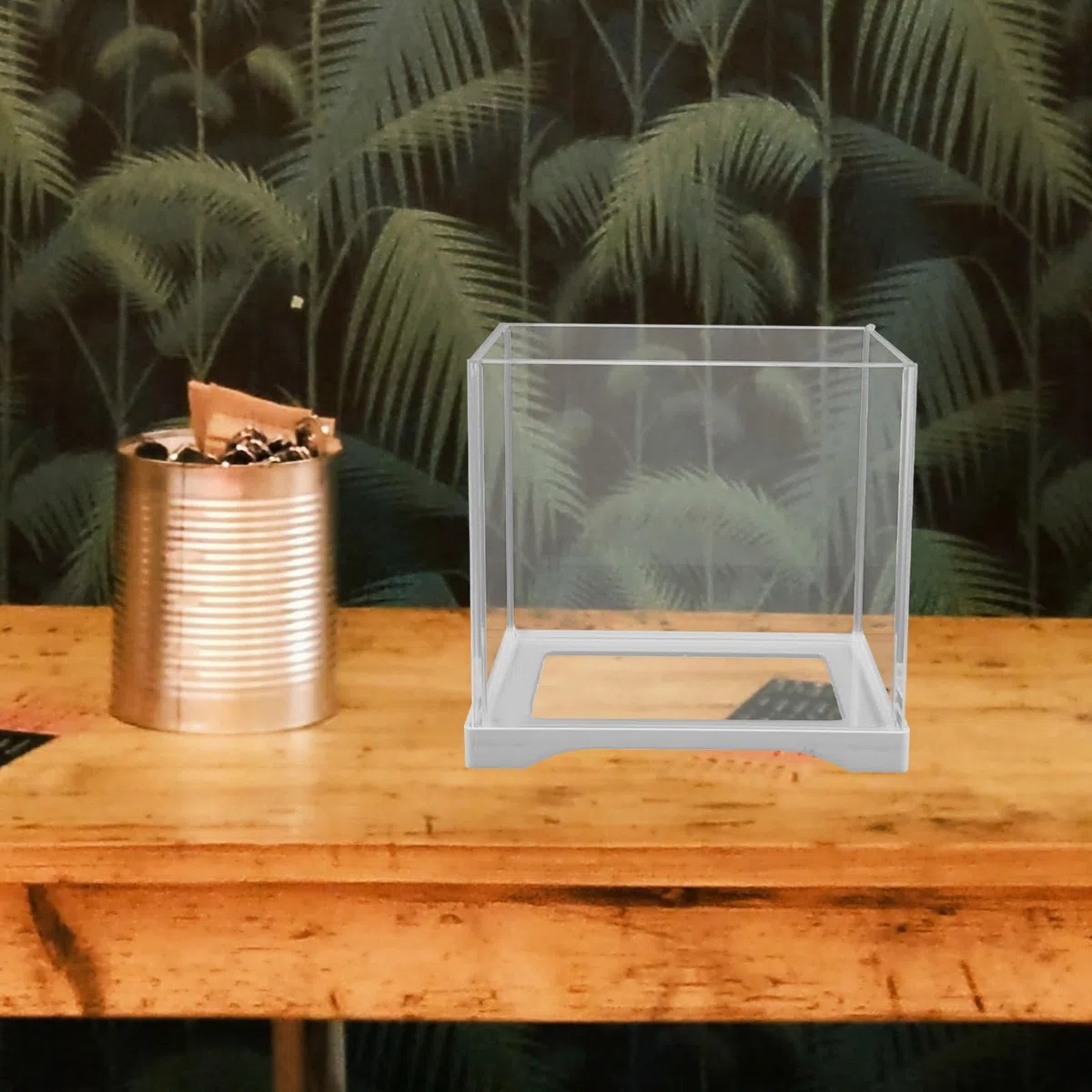 Mini Acuario Cúbico de Vidrio para Betta y Plantas Acuáticas