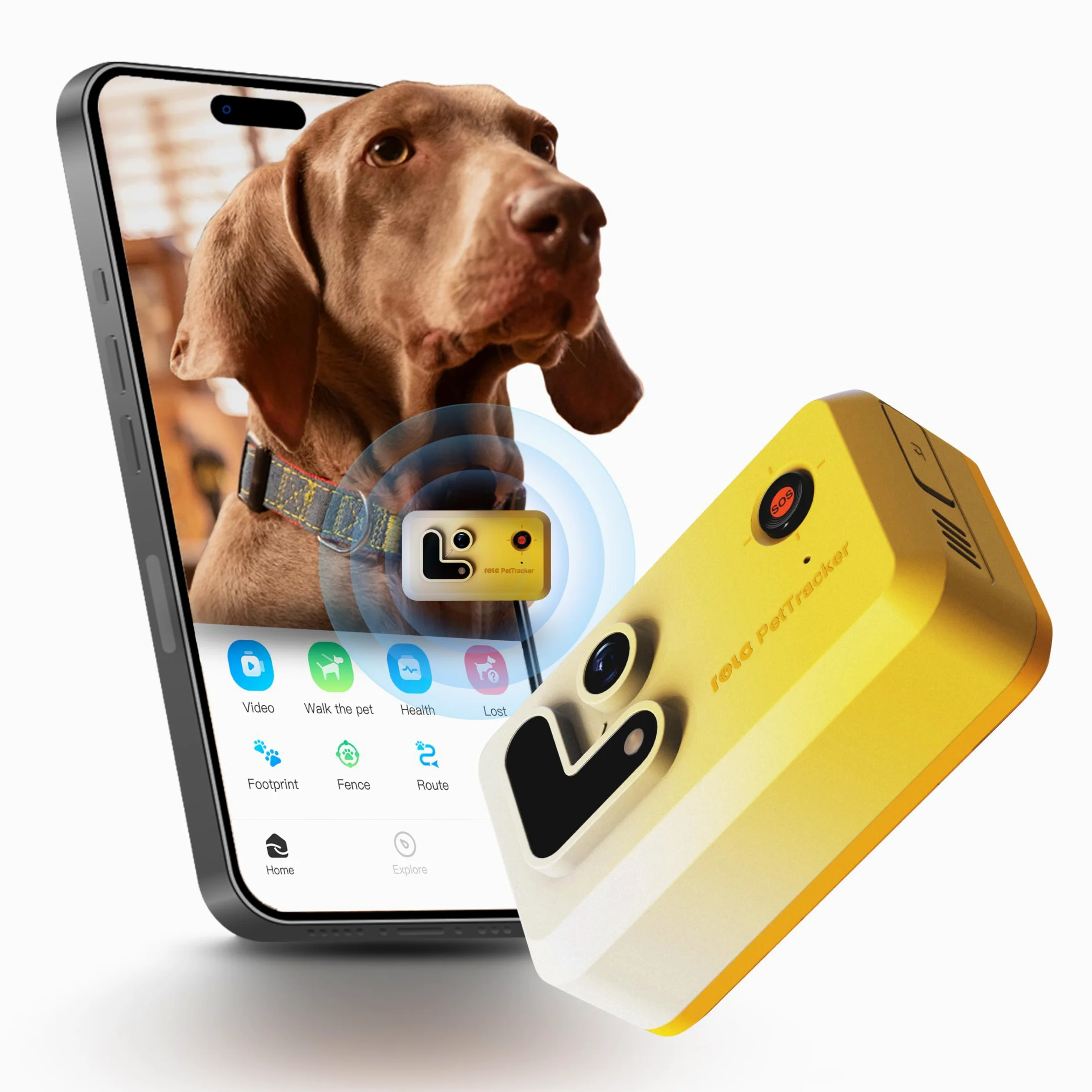Enabot EBO ROLA PetTracker | GPS para Perros - Localizador para Perros con GPS - Rastreador de Actividad - Color Amarillo