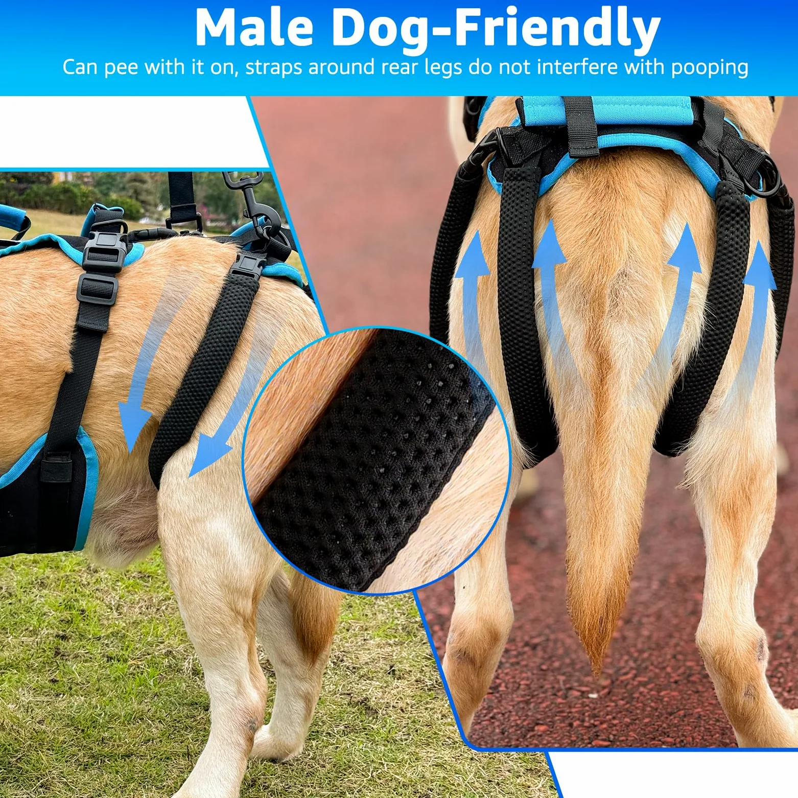 Arnés de Levantamiento para Perros Machos Grandes – Arnés 2 en 1 de Ayuda para Levantar, Apoyo para Las Patas Traseras y Asistencia en Movilidad para Perros Mayores(Negro, Grande)