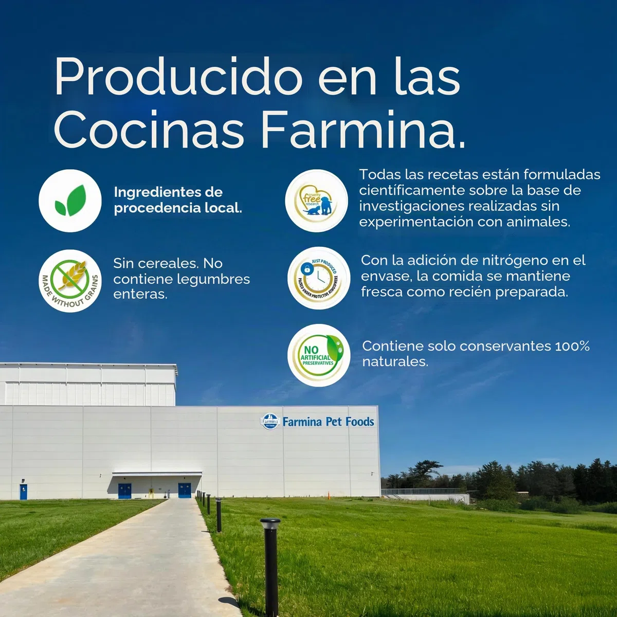 Farmina N/D Adult Mini Grain Free 7 kilogramm Cordero Calabaza arándano