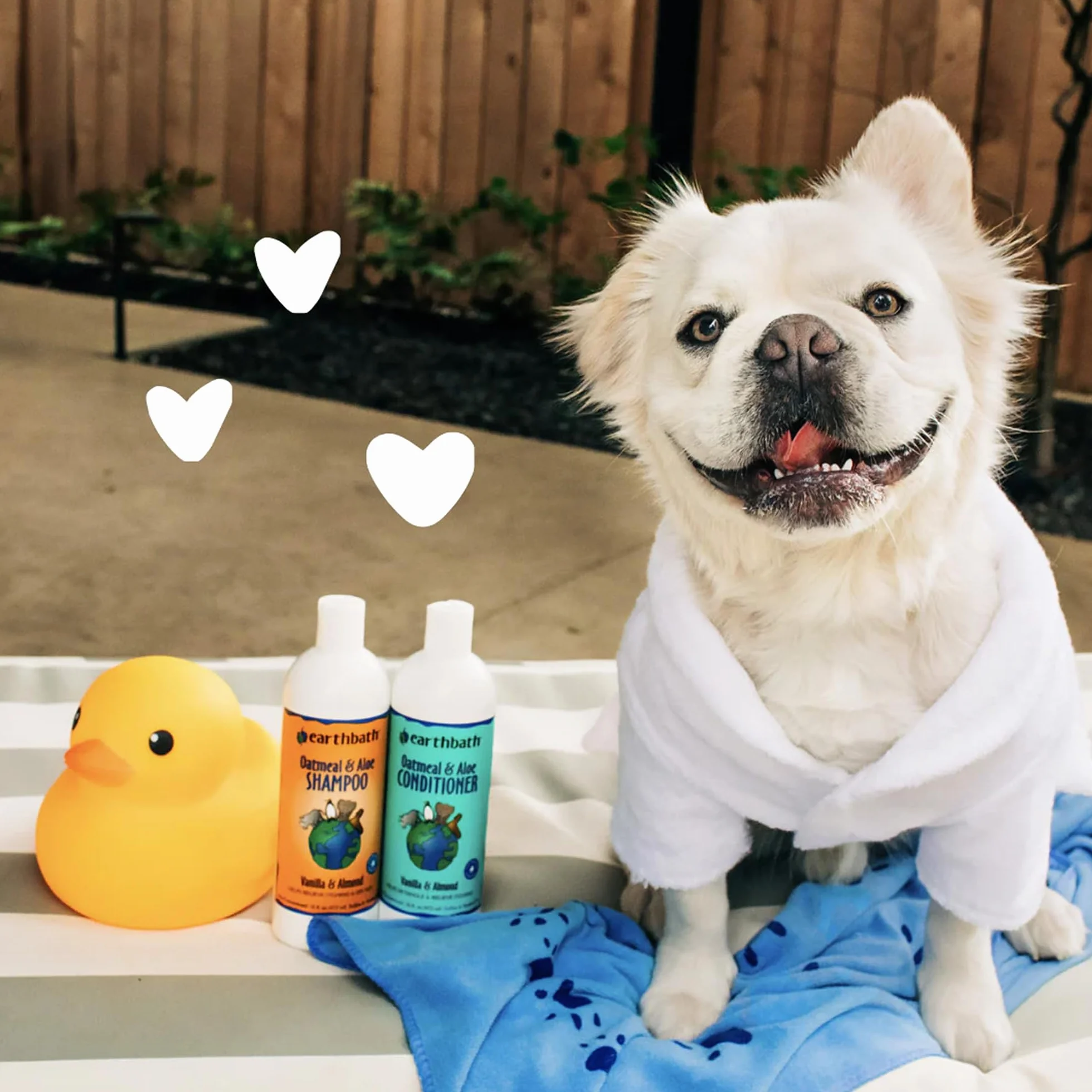 Earthbath Champú de Avena y sábila para Mascotas Alivio de la picazón.
