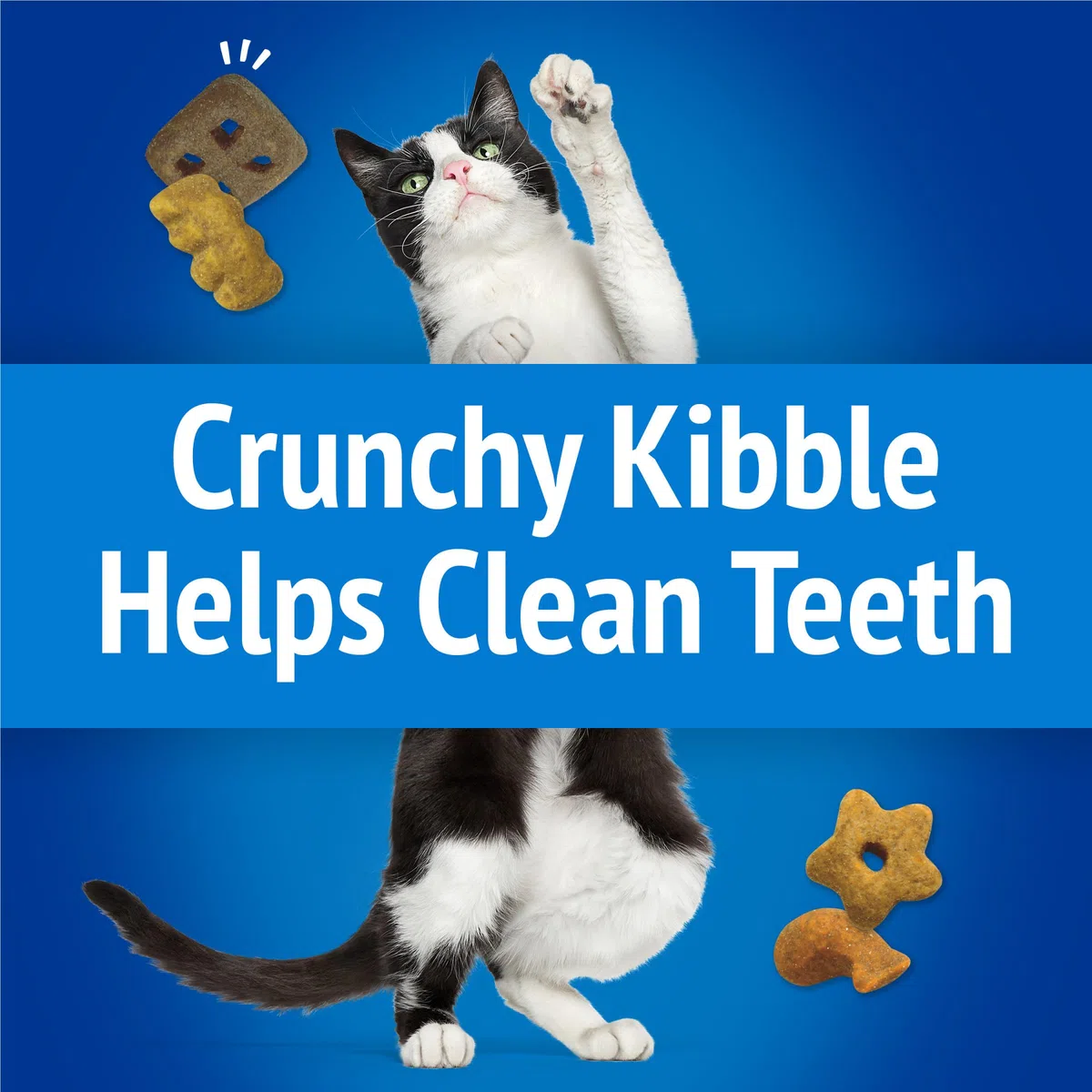 Friskies Party Mix Cat Treats, Beachside Crunch, Shrimp, Crab & Tuna Flavors, 2.1-Ounce Pouch, Pack of 10