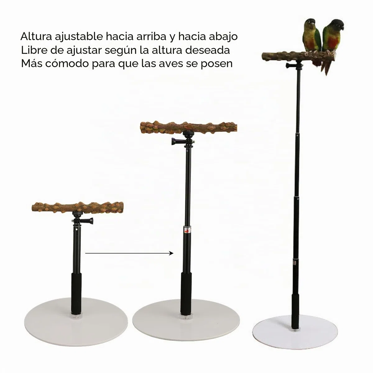 Soporte de Percha de Entrenamiento para Loros, Percha de Pie para Pájaros Desmontable Al Aire Libre con Altura Ajustable de 37 Pulgadas, Base, Soporte de Viaje para Juegos de Pájaros para Conure