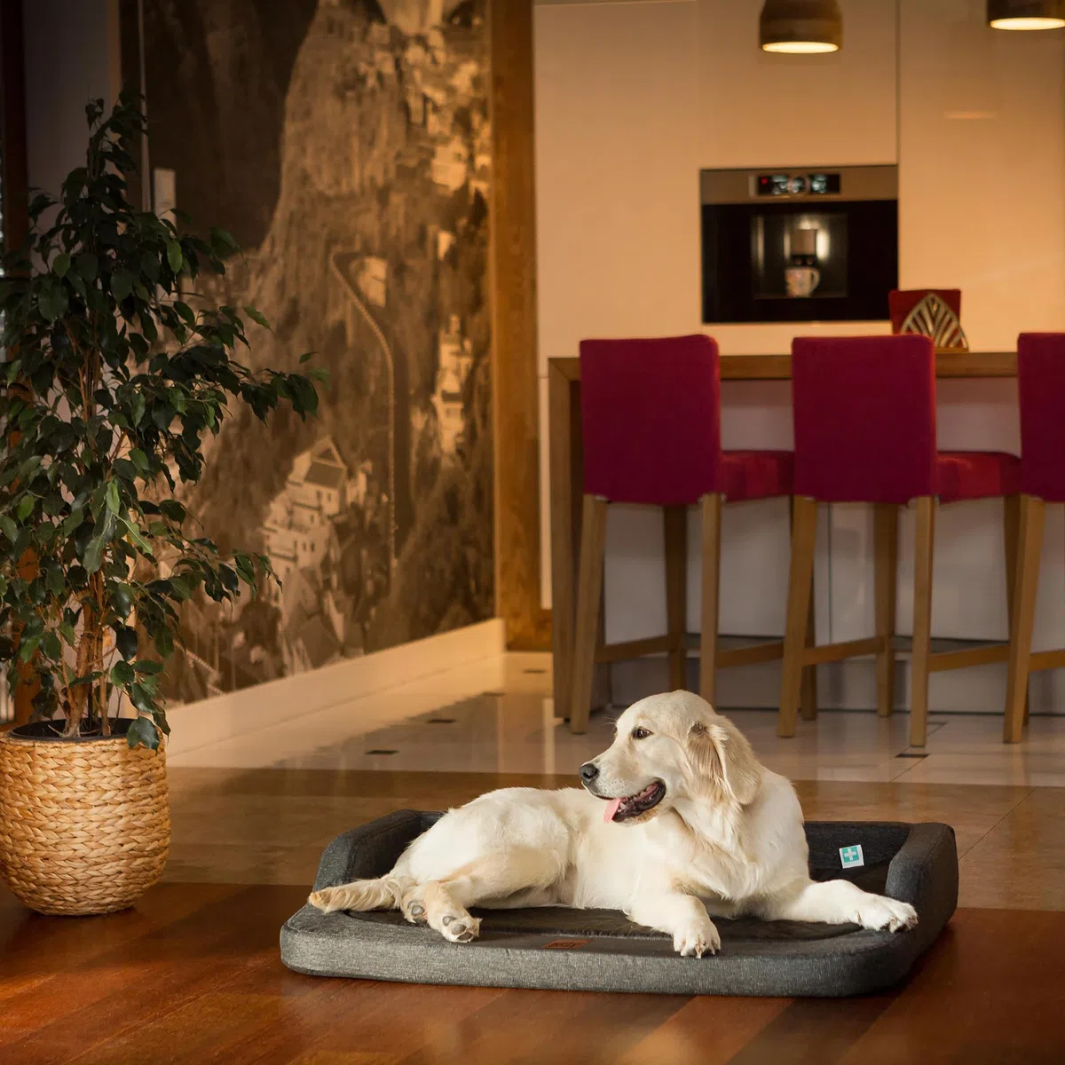 Cama para perros, cama para perros, espacio para dormir, sofá, cojín para perros, espacio de descanso, cama para perros, accesorio para perros, 94 x 62 cm