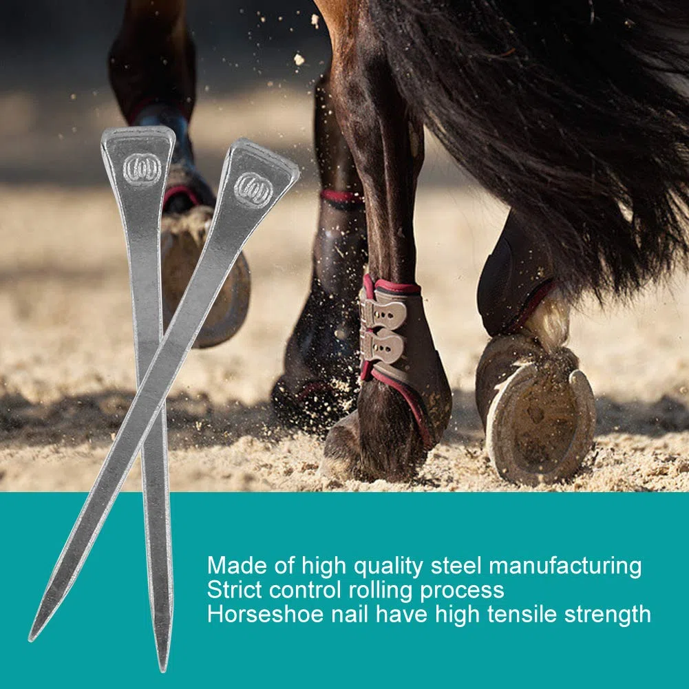 250 Clavos de Herradura, Clavijas de Pezuña de 5,4 Cm para Asegurar Firmemente Al Caballo con una Fabricación Precisa