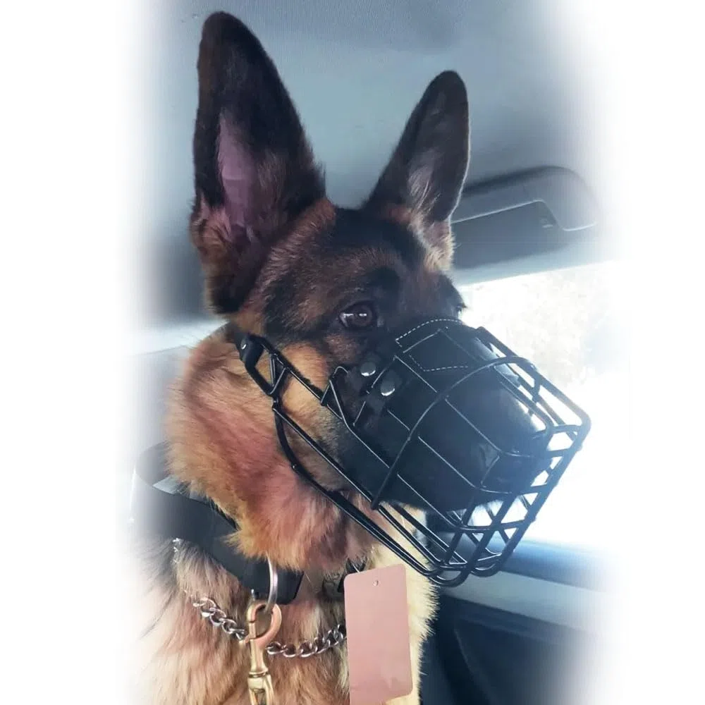 Bozal profesional de metal para perro (tamaño 31) – Cesta de alambre ergonómica para Schnauzer gigante, Doberman, Airedale Terrier, Husky – Entrenamiento resistente y equipo de seguridad diario