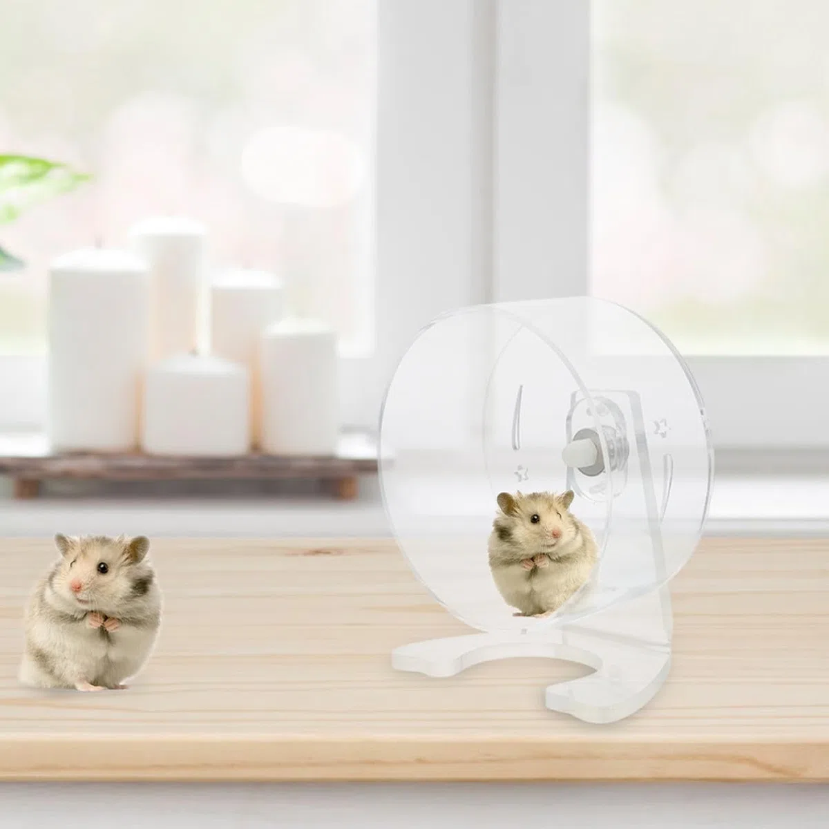 HEMOTON Rueda Silenciosa para Hámster con Soporte Juguete de Ejercicio Transparente para Pequeños Roedores Diseño Duradero y Ergonómico para Actividad Saludable
