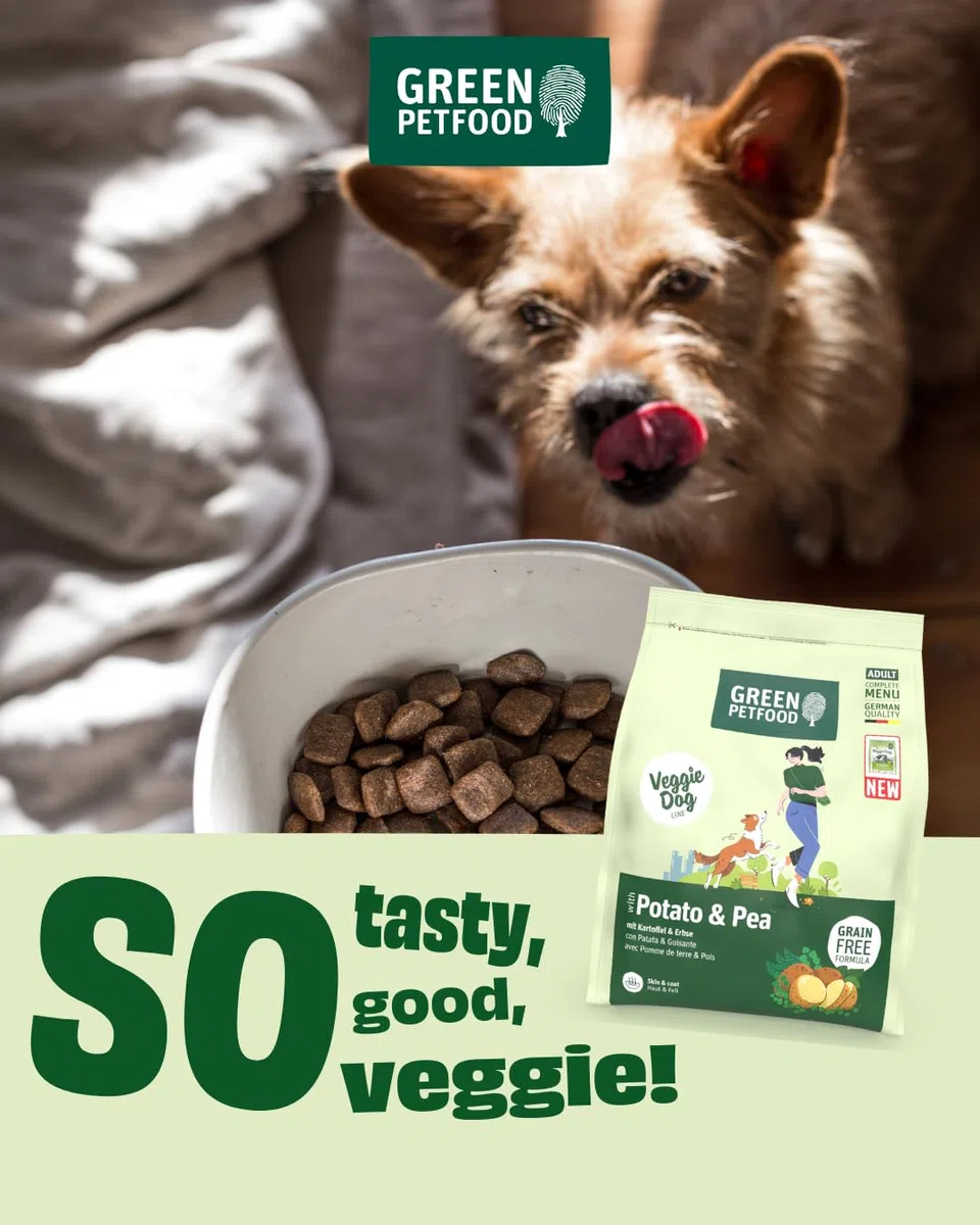 Green Petfood VeggieDog con Patata y Guisante (1 x 10 kg) | Adulto | alimento seco Premium para Perros Adultos sensibles | Vegetariano y sin Trigo | con Sabrosa Batata | 1 Pack