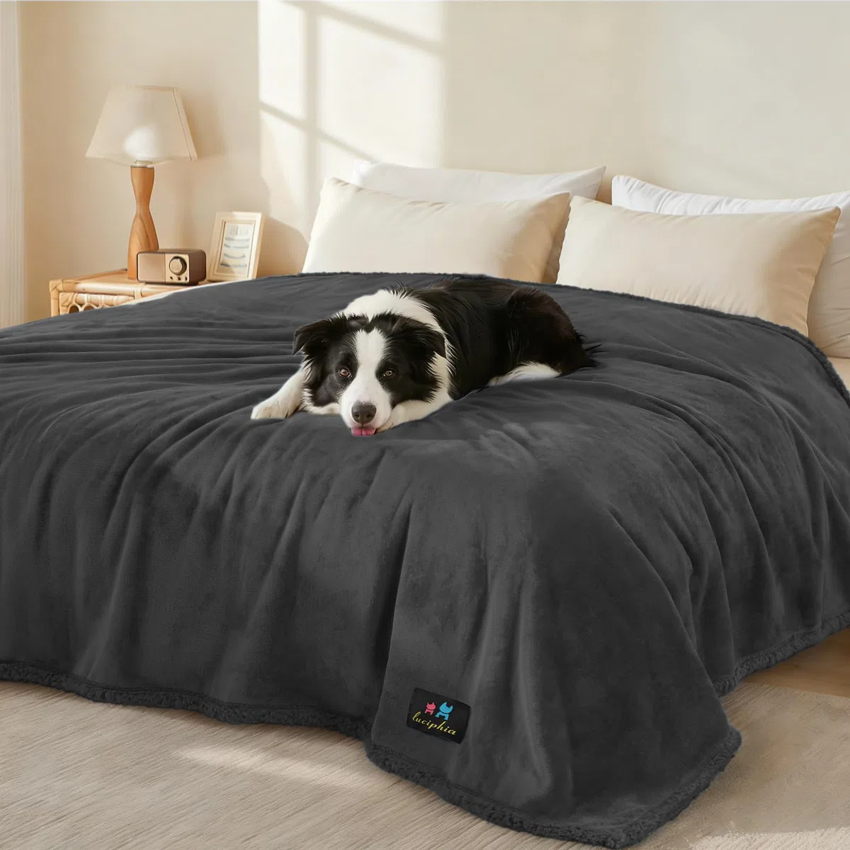 Manta impermeable a prueba de líquidos, manta para perros para sofá, cama, sofá, manta de forro polar sherpa, protección para perros pequeños, medianos y grandes, gatos, negro, XL (215,9 x 144,8 cm)