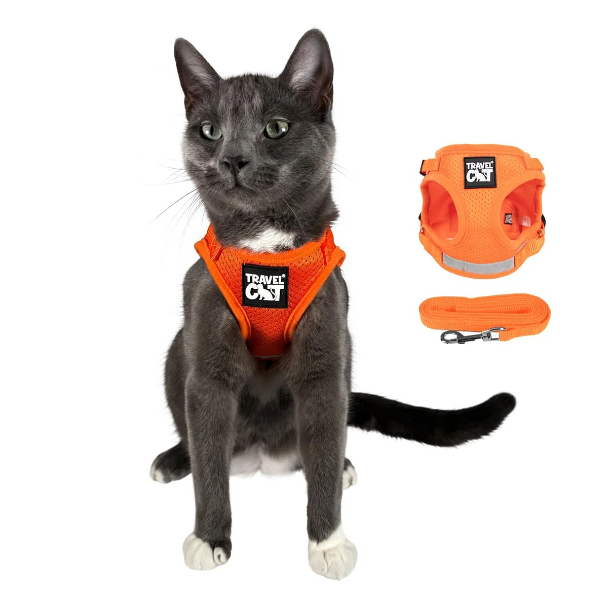 Travel Cat: The True Adventurer - Juego de arnés y correa reflectante para gatos y gatitos para caminar, ligero, transpirable, ajuste cómodo, correa fuerte con clip resistente a presión