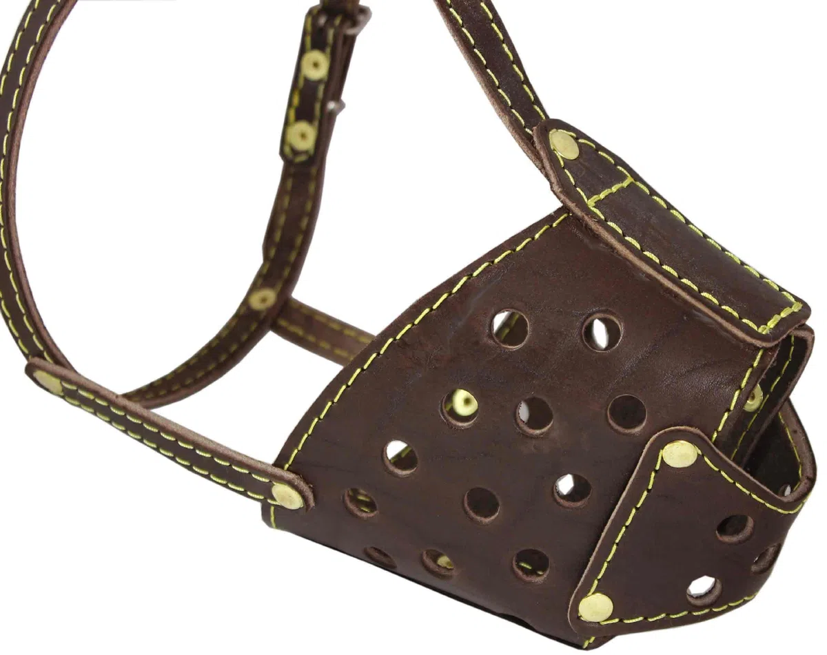 Bozal seguro para perro de piel auténtica, color marrón, (circunferencia de 33 cm, longitud del hocico de 8,9 cm)