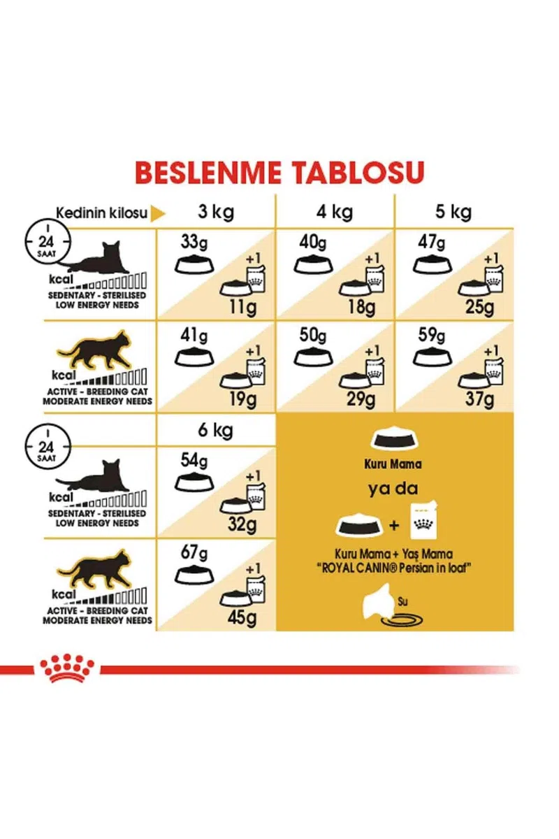 Royal Canin Persian - Pienso para gatos de raza persa 4Kg