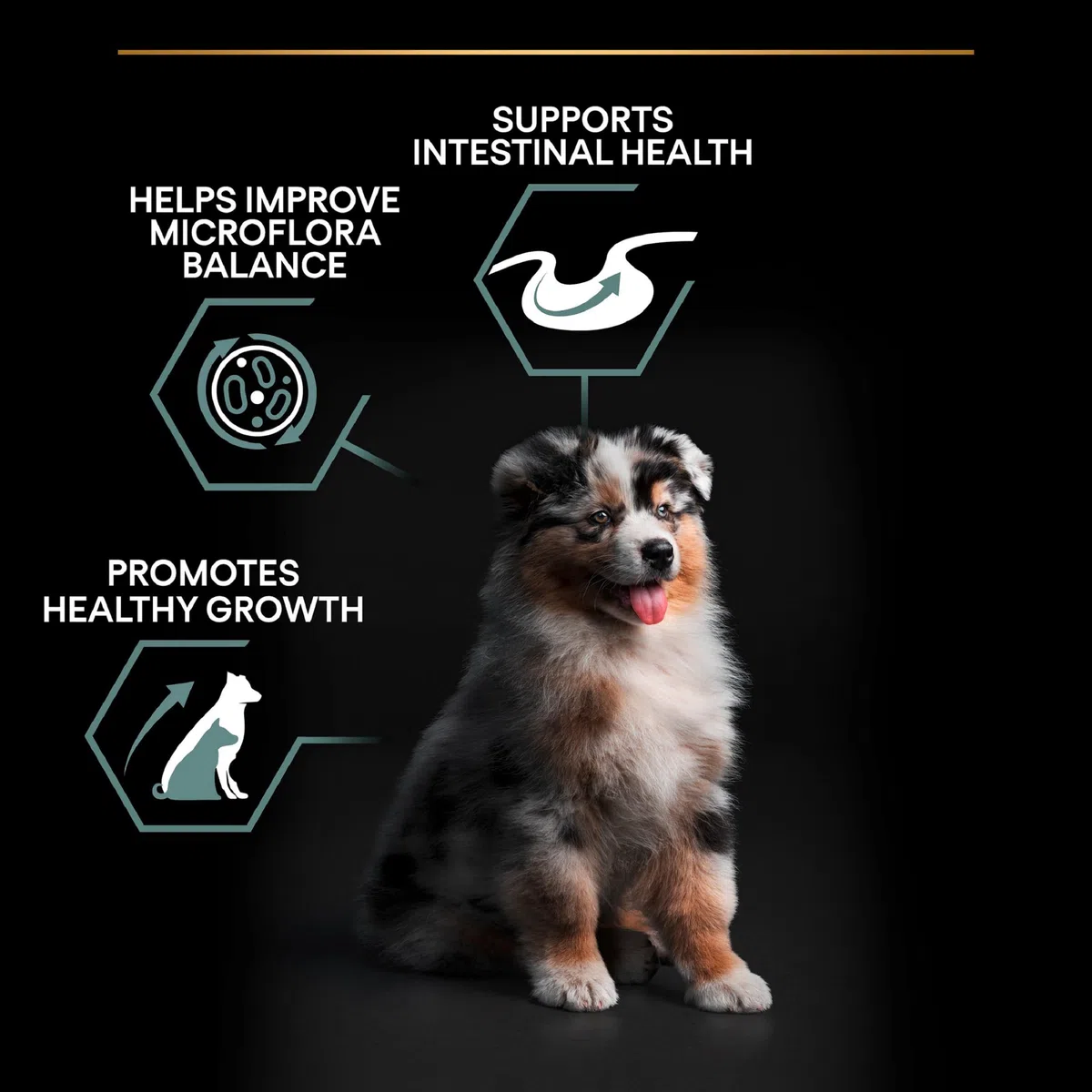 Pro Plan Purina Comida Seco para Cachorro Mediano con Digestión Sensible con Optidigest, Sabor Cordero - 3 Kg (Paquete de 2)