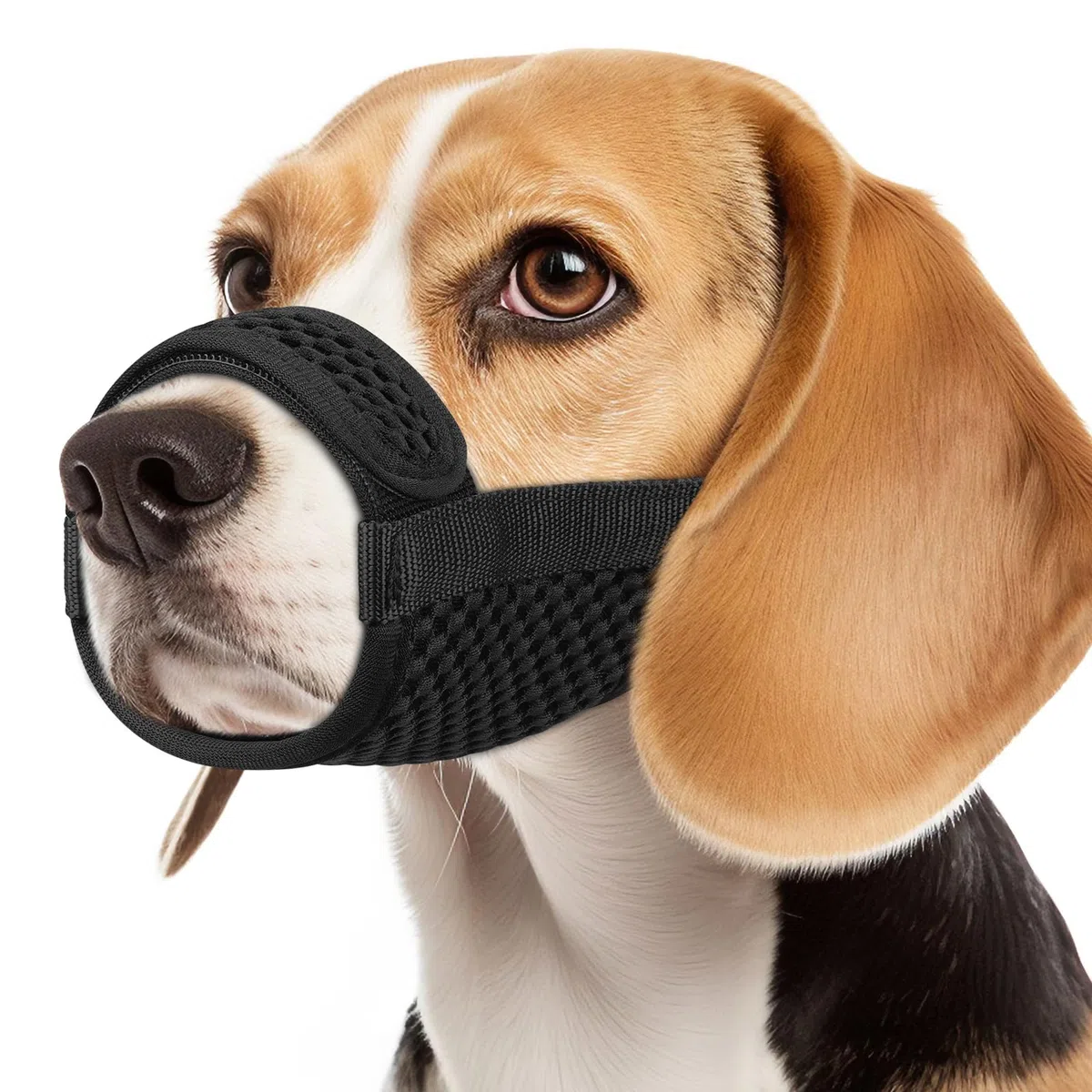 Mayerzon Bozal para perro con gancho y bucle para perros grandes, medianos y pequeños, bozales patentados de malla suave Beagle Labrador para morder, masticar, aseo, transpirable, ajustable, permite