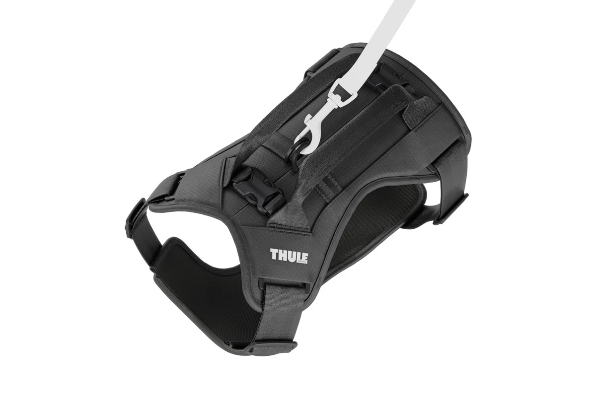 Thule Cappy - Arnés para Perro M – Probado en choques para Seguridad – Paso del cinturón de Seguridad – Ajustable y fácil de Limpiar – Paneles de Malla Transpirable Acolchados – Presilla para Correa