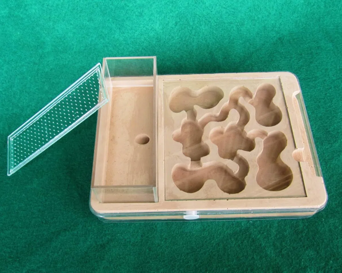 Nido de observación estereoscópica acrílico Nido de hormigas ecológico, hormiguero de plástico transparente PP, castillo de hormigas, caja de cría de hormigas, casa de hormigas, caja de alimentación d