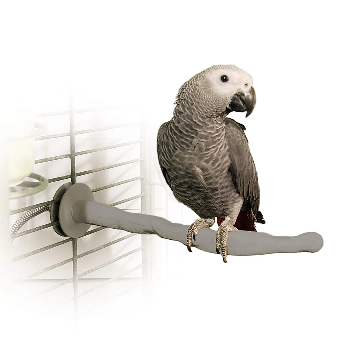 K&H Pet Products Thermo-Perch - Percha climatizada para pájaros, Color Gris, tamaño Mediano de 1.25 x 13 Pulgadas