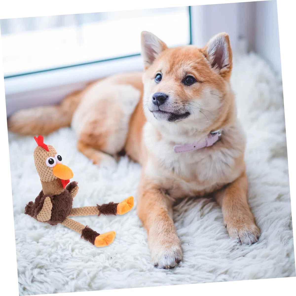 BESPORTBLE 3piezas Juguete Interactivo para Perros y Gatos Muñeco De De Peluche para Masticar y Limpiar Los Dientes Juguete para Mascotas Divertido y Saludable