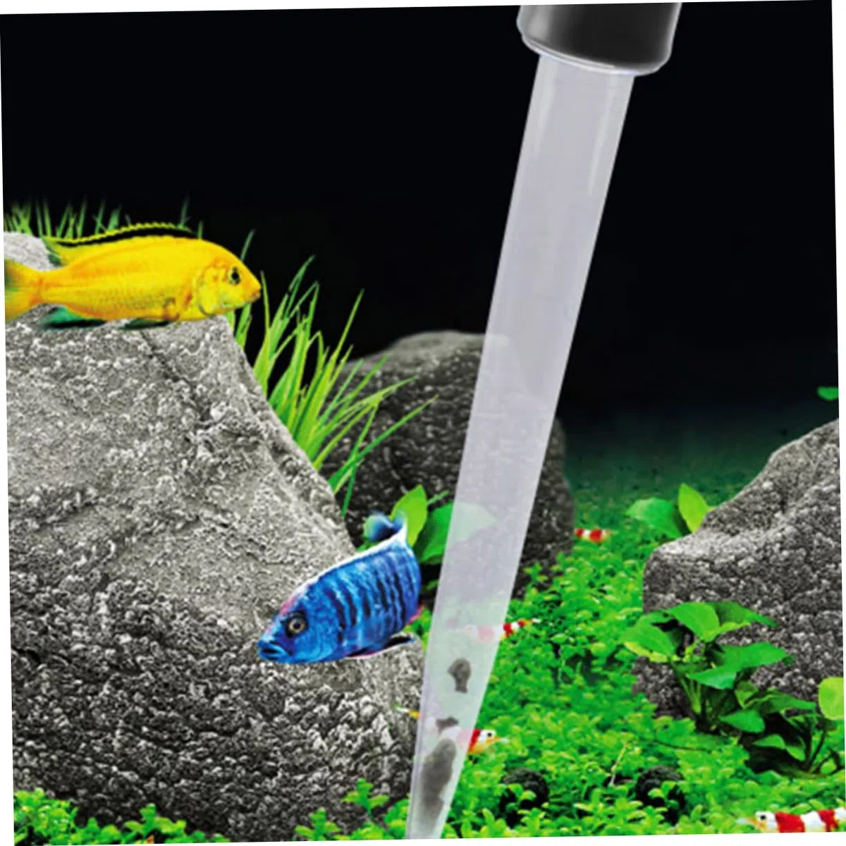 minkissy 6 Piezas de pipeta de Acuario, Herramienta de Limpieza de Acuario, Limpiador de Acuario, pipeta de pecera, Limpiador de pecera, Filtro de Cepillo magnético