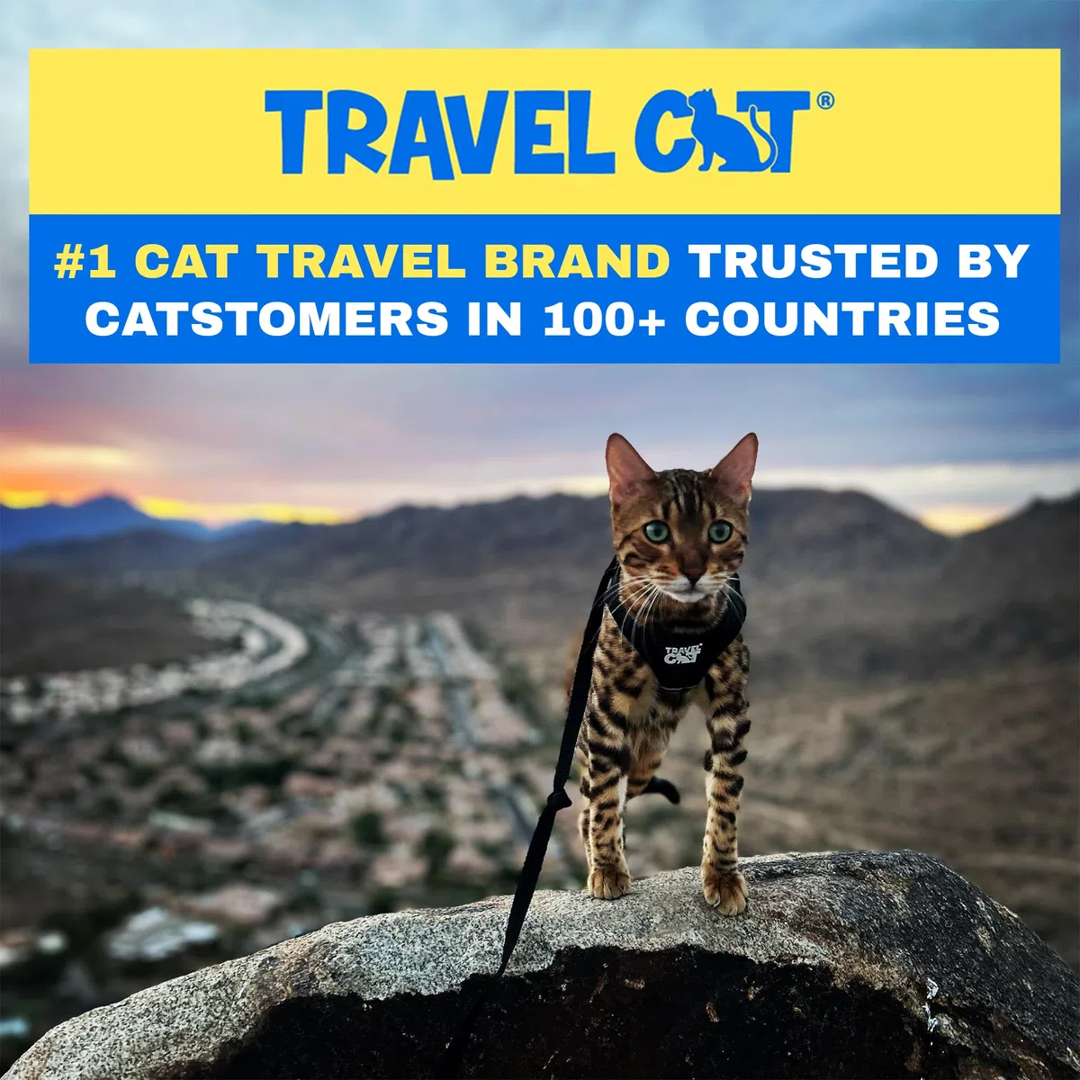 Travel Cat: The True Adventurer - Juego de arnés y correa reflectante para gatos y gatitos para caminar, ligero, transpirable, ajuste cómodo, correa fuerte con clip resistente a presión