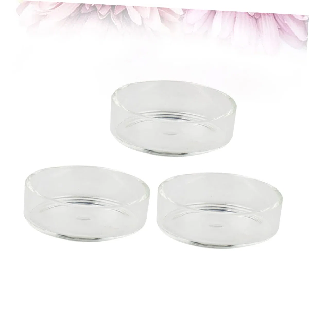 Didiseaon 2 Juegos de Cuencos Redondos de Vidrio para Camarones Comederos para Camarones Suministros para Acuario Adornos de Cristal para Tanque de Camarones 5 Piezas