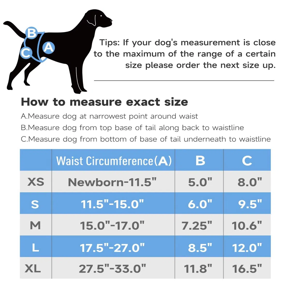 Paw Legend Pañales lavables y reutilizables para perras, pañales para perras de calor, pañales para perras (3 unidades, XL)