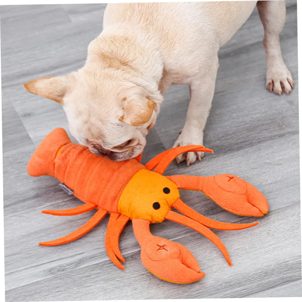 Angoily 3 Piezas Juguetes de alimentación de Mascotas Juguetes de Comida Juguete para la dentición Juguete para olfatear Perros Juguete para olfatear Mascotas Alimentar rapé