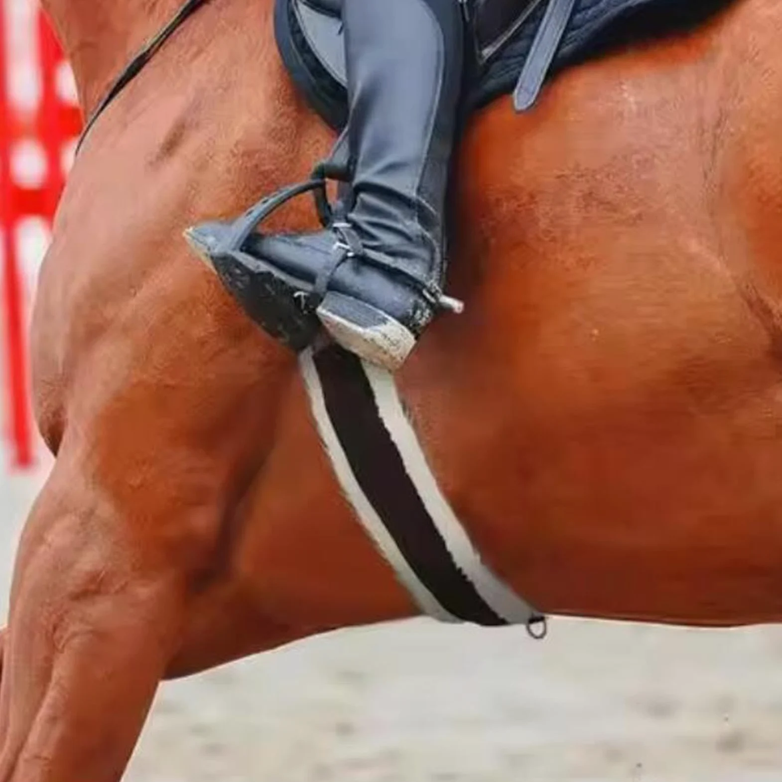 Qianly Cincha para Caballo Cincha Elástica Cincha Antideslizante Cincha Acolchada Cincha de Entrenamiento de Fácil Ajuste Adecuada para Montar Caballos Depor