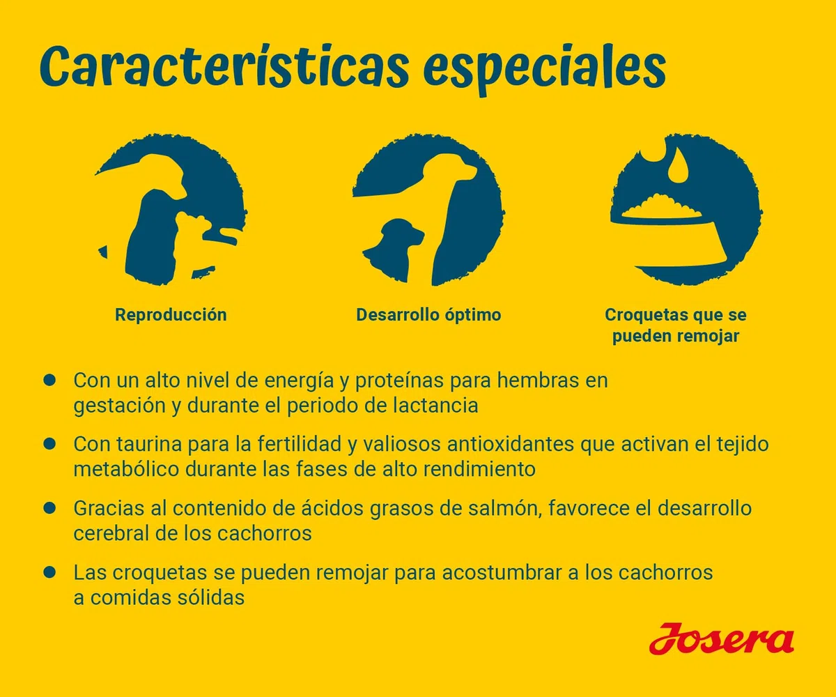 JOSERA Family Plus (1 x 12,5 kg) | Puppy | Comida Seca Premium para Perras y Cachorros preñadores/Lactantes | salmón y Aves de Corral | Suministro óptimo con Enegie y L-carnitina | Sin Trigo | 1
