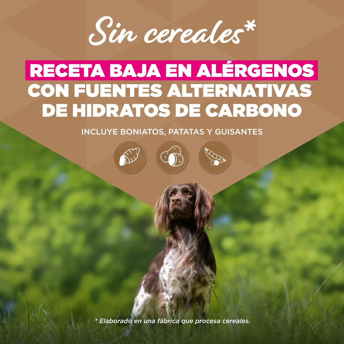 Eukanuba, alimento para Perros sin Cereales con Cordero para Razas pequeñas y Medianas - Alimento seco Premium sin Cereales para Perros Adultos, 12 kg