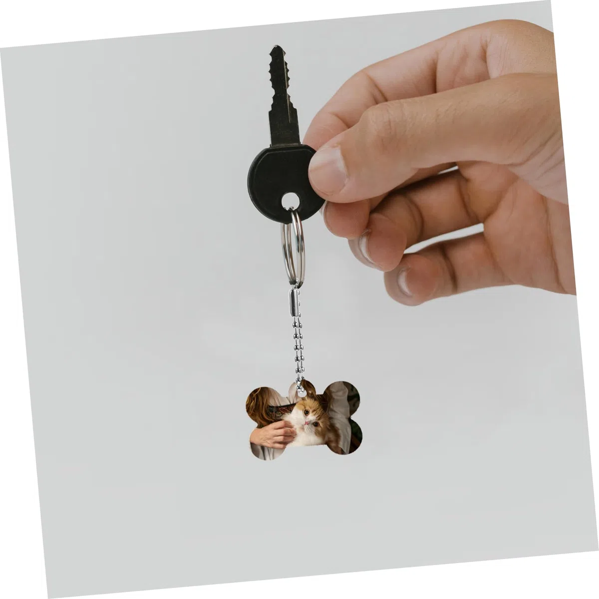 Happyyami 60piezas Etiquetas De Sublimación Para Mascotas Placas De Identificación Para Perros y Gatos Personalizables Fabricadas Para Añadir Un Estilo Tu Mascota