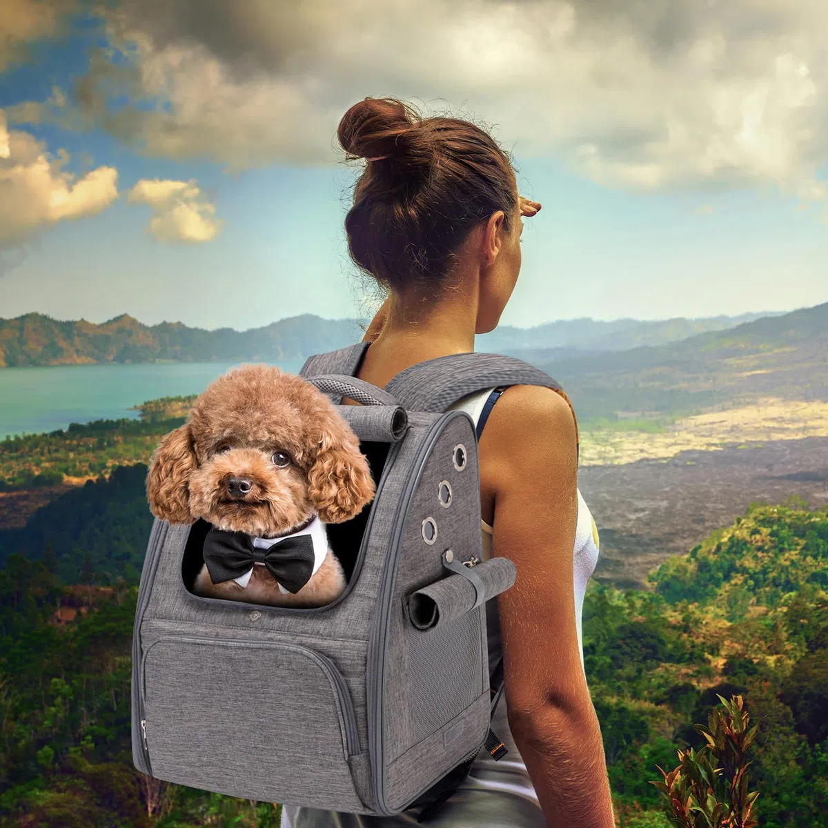 PETCUTE Transportin Gato Mochila Perro Pequeños Bolsa para Transportar Gatos Transpirable Viaje Mochila para Llevar Perros Gato Gris