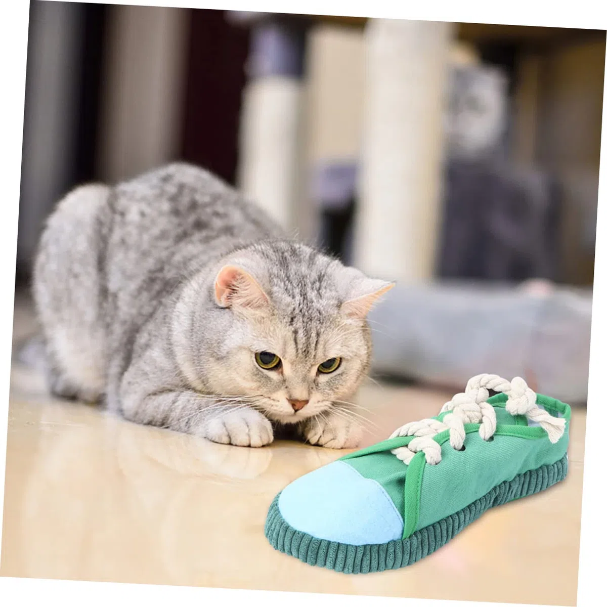 FRCOLOR 4 Piezas Juguetes de Sonido para Mascotas Juguetes mordedores Zapatillas para niños pequeños Juguetes de Peluche Juguetes masticables para Perros Zapatos Cachorros Juguetes Rompecabezas Libro