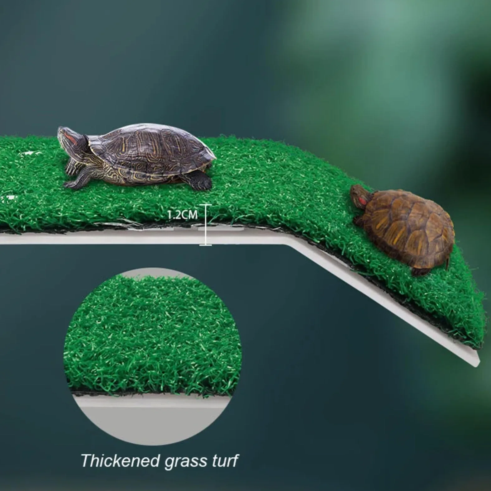 Turtle Basking Platform - Rampa de césped artificial flotante | Accesorio de terrario para reptiles y anfibios | PP no tóxico con ventosas fuertes S/M/L
