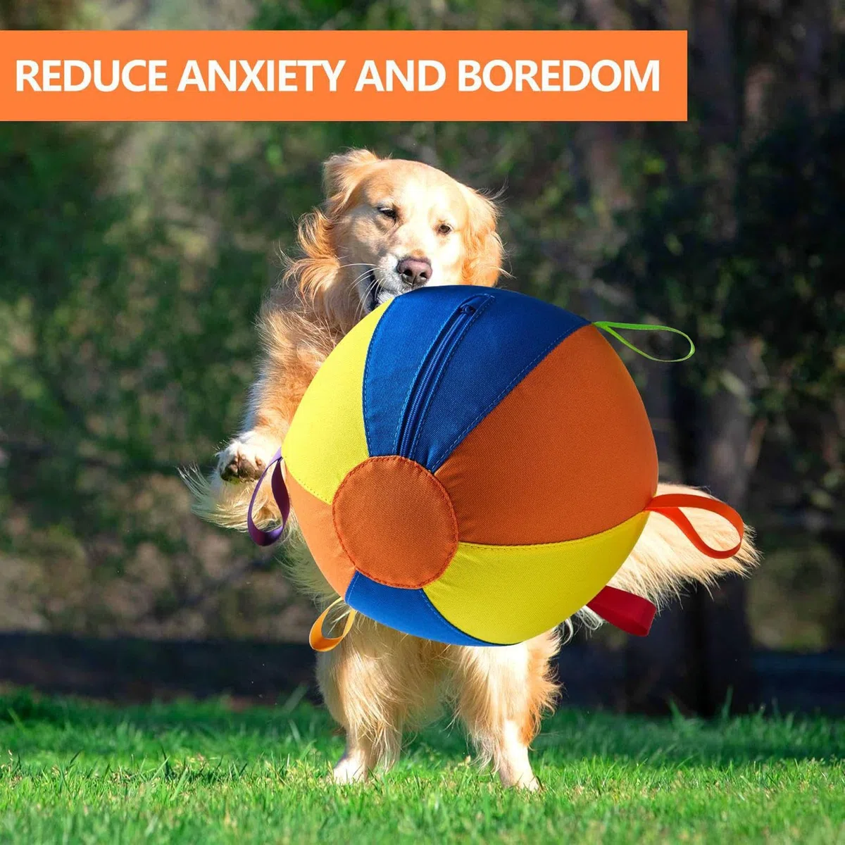 Juguete Pelota Perro Antimordeduras, Segura, Ejercicio, Masticadores | Pelotas de Juguete Interactivas para Perros Saltarina para Exterior Verano Piscina Agua Juego Diversión Navidad Cum