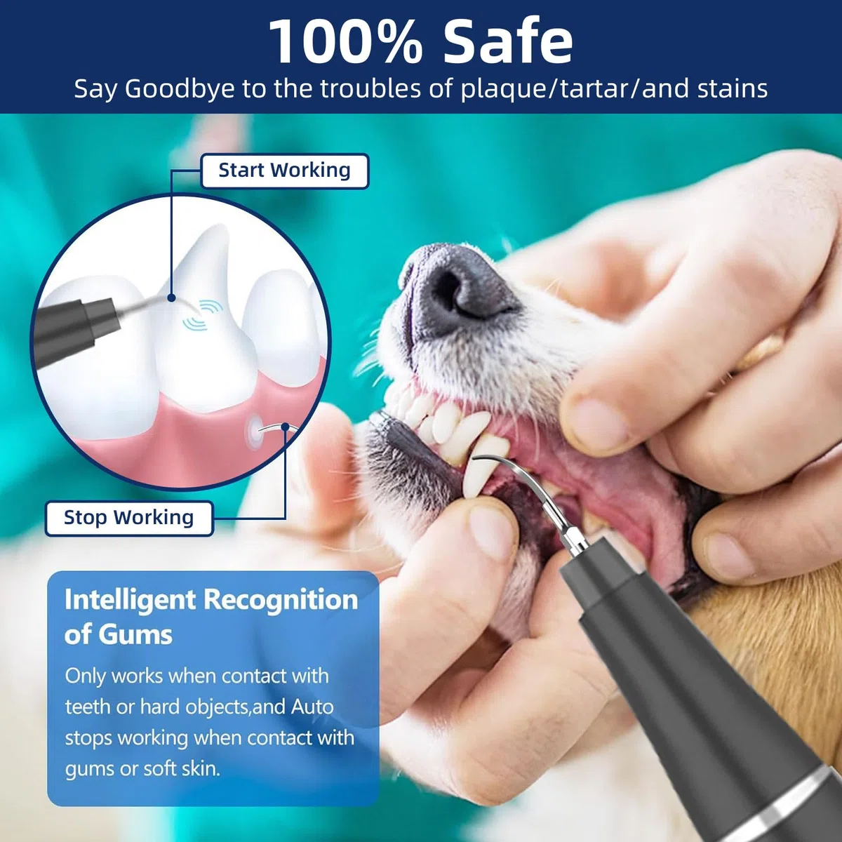 Herramienta de eliminación de placa dental: kit de limpieza de dientes de perro, raspador dental para sarro y placa, 3 modos de limpieza, carga USB, herramientas de limpieza de dientes con
