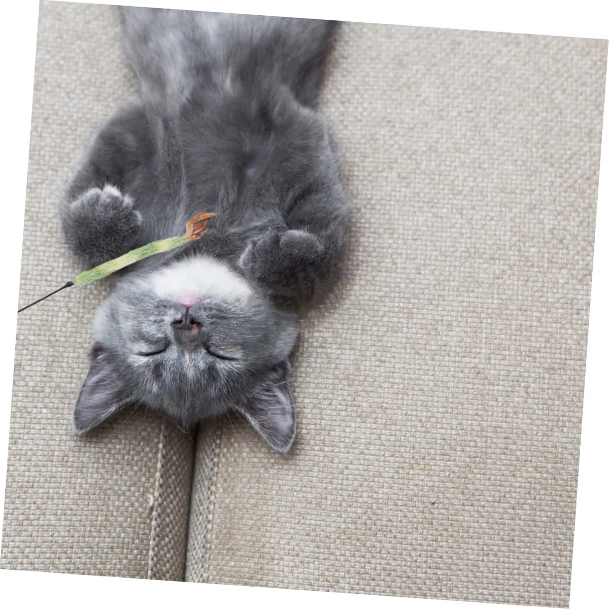 Kisangel 15 Piezas De Juguete Giratorio para Gatos Suministros para Mascotas Juguetes para Gatitos Juguetes para Ejercitar Gatos Juguete De Hadas Juguetes para Gatitos Juguetes