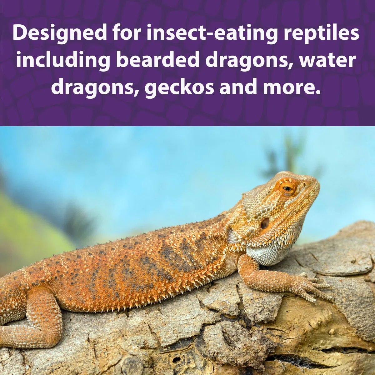 Mazuri Barbudo Dragon Diet